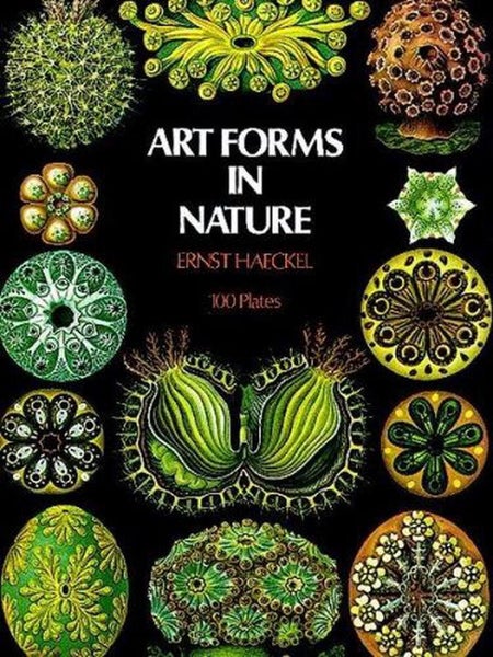 Art Forms in Nature by Ernst Haeckel - Paperback Carousel 1