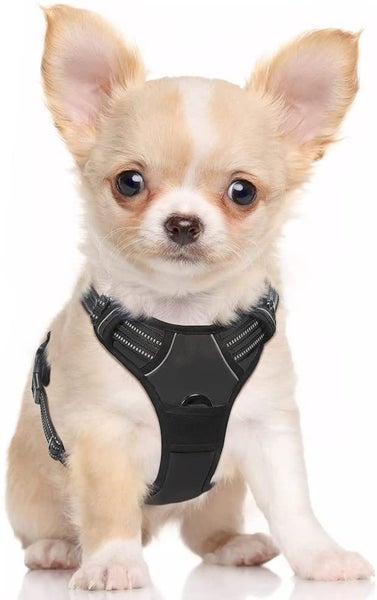 Dog Harness NZ Clearance Carousel 1