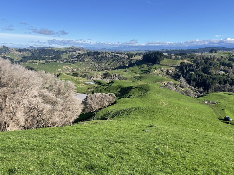 Hawke's Bay Rural properties Trade Me Property