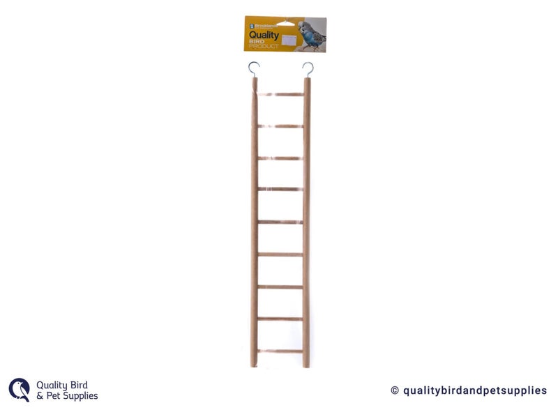 Brooklands Ladder Carousel 2
