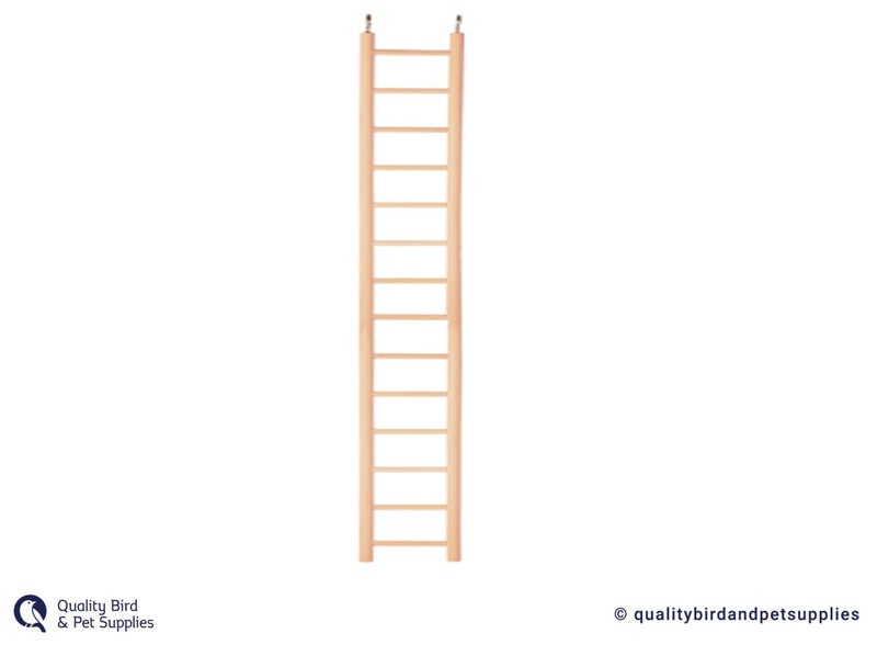 Brooklands Ladder Carousel 4