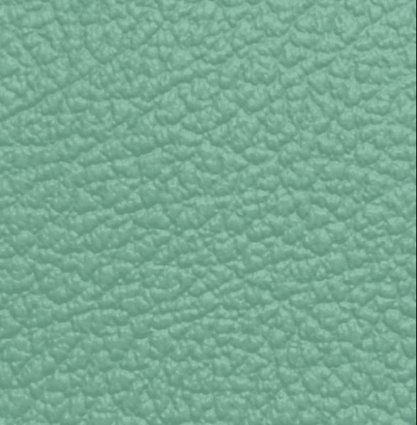 Tolex Vinyl - Sea Foam Green Carousel 1