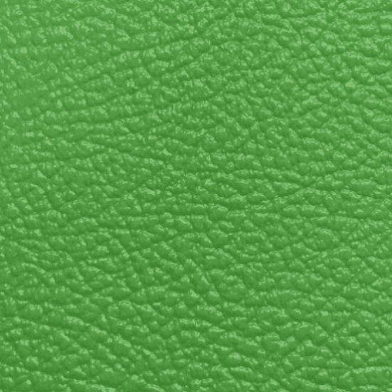 Tolex Vinyl - Apple Green Carousel 1
