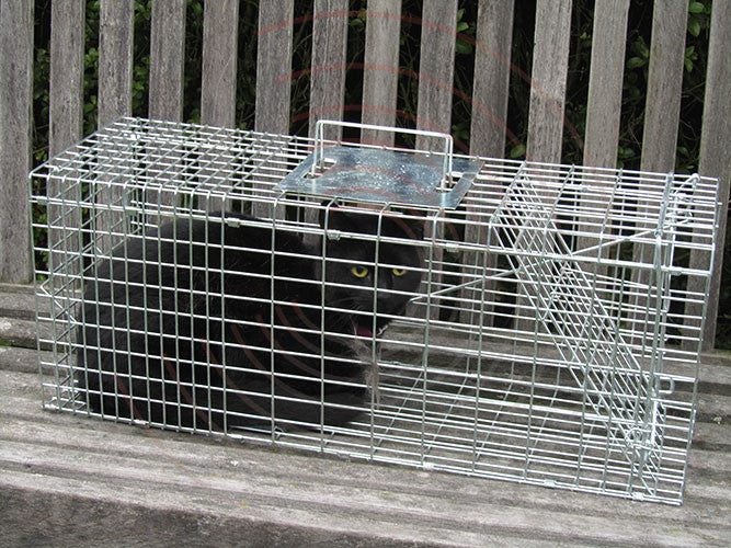 Cat Trap - Medium Cage Carousel 2