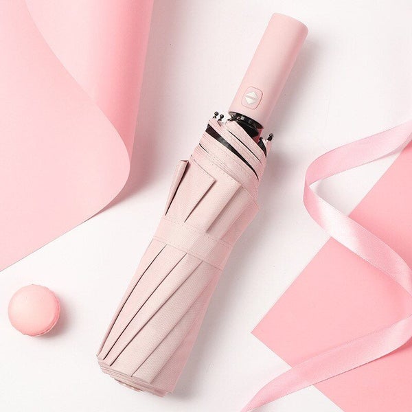 Windproof Double Layer Resistant Umbrella Fully Automatic Rain Men Carousel 2