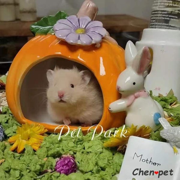 Cute Design Ceramics Pumpkin Small Animals Hamsters Rat Cage Guinea Carousel 1
