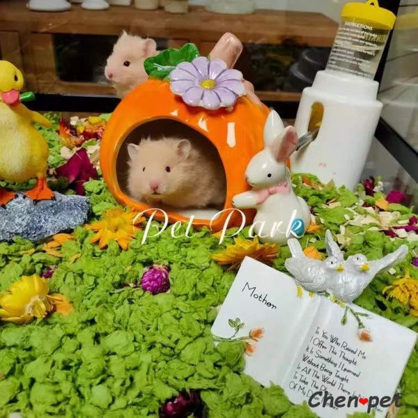 Cute Design Ceramics Pumpkin Small Animals Hamsters Rat Cage Guinea Carousel 2