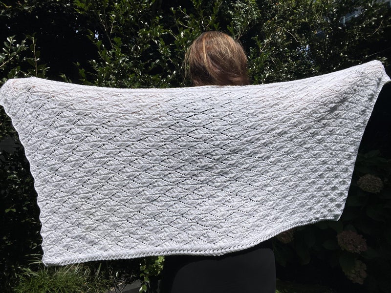 Knitting Pattern, Camellia Shawl Carousel 1