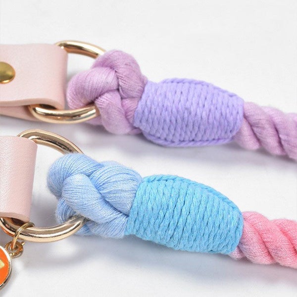 120CM Soft Braided Colourful Dog Leash-Macaron Carousel 4