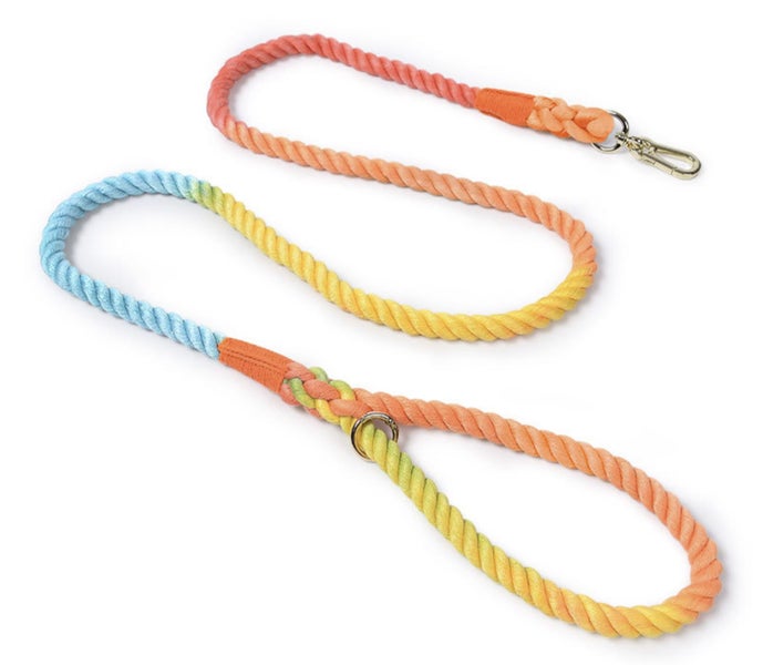 120CM Soft Braided Colourful Dog Leash-Rainbow Carousel 1