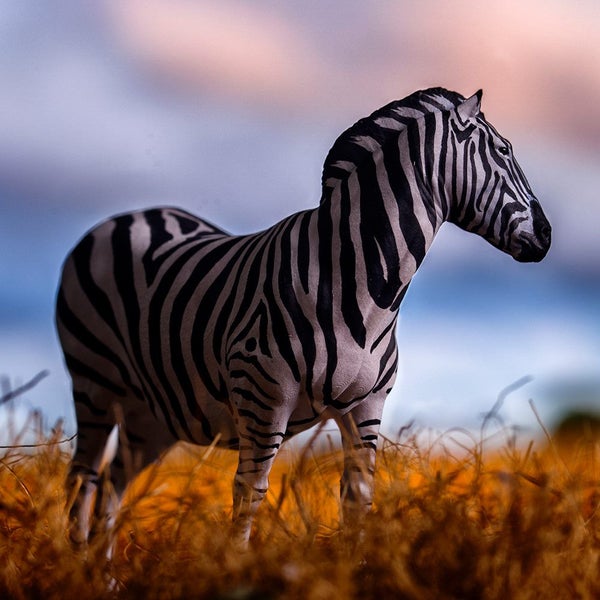 PNSO Razi the Plains Zebra Carousel 2