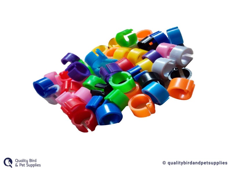 Plastic Leg Rings - Modena & Fancy Pigeons Carousel 1