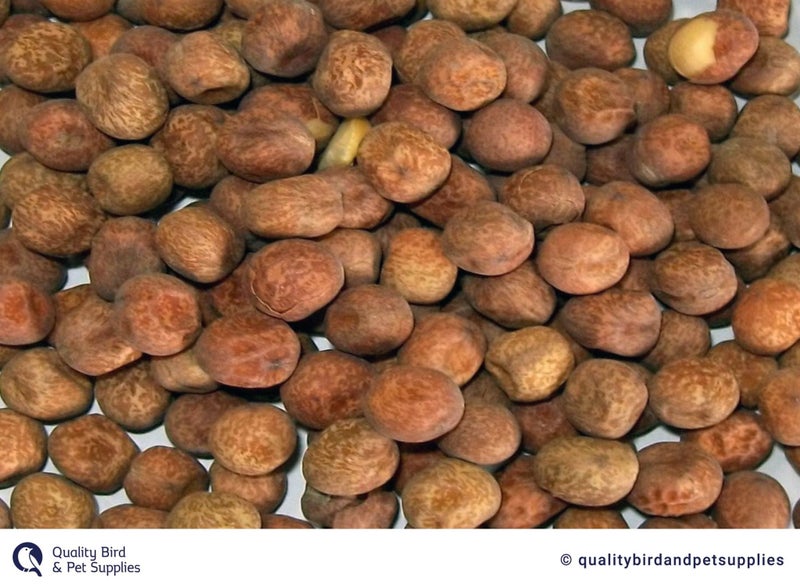 NZ Maple Peas Carousel 1