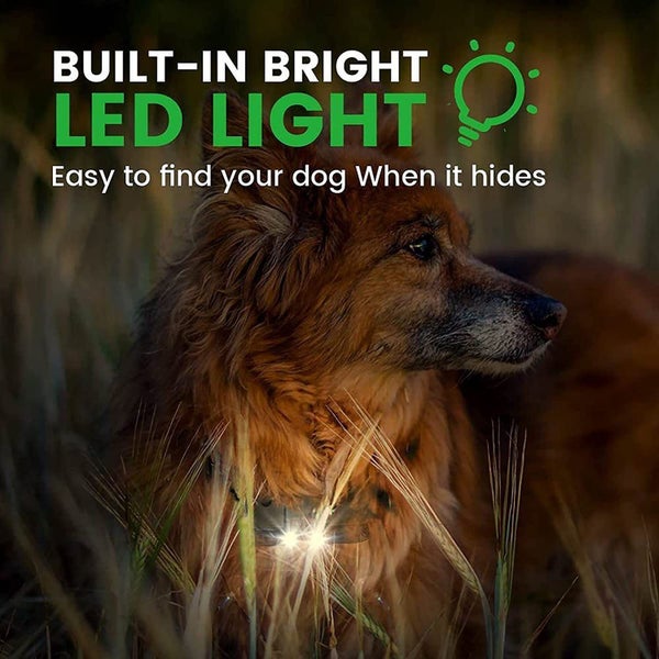 Dog Training Collar NZ Clearance Carousel 2