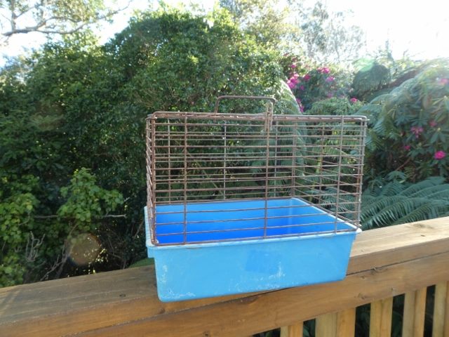 Cat Carry Cage - Top Loader - Metal cage with Dark Light Base (#21) Carousel 1