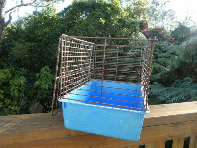 Cat Carry Cage - Top Loader - Metal cage with Dark Light Base (#21) Carousel 2