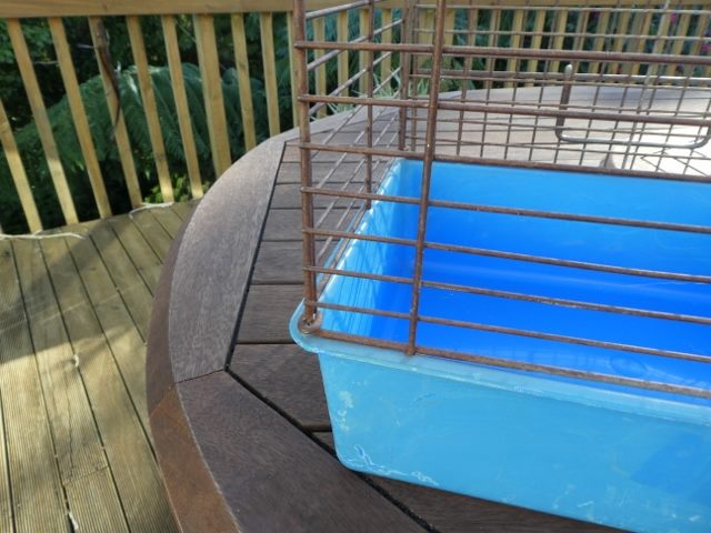 Cat Carry Cage - Top Loader - Metal cage with Dark Light Base (#21) Carousel 3