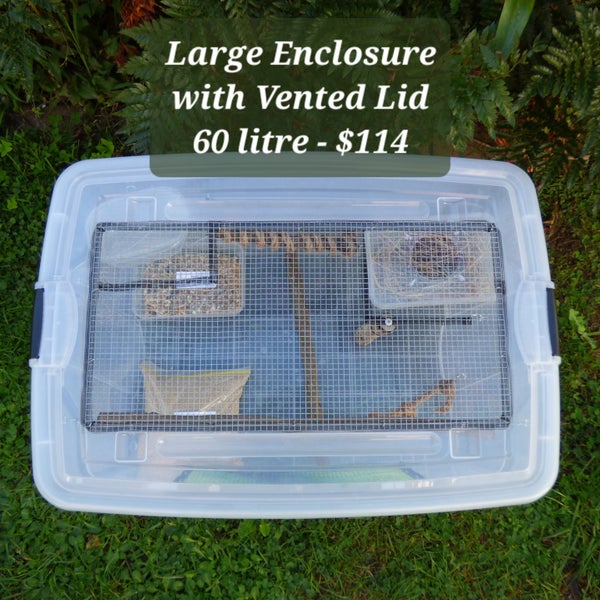 Large Mouse Enclosure - Full Setup with Vented Lid Carousel 2