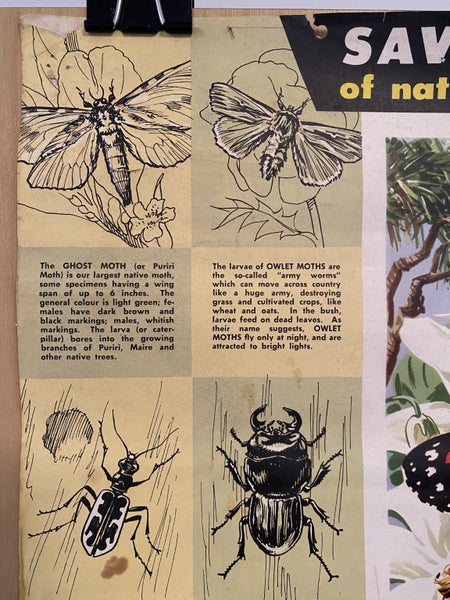 VINTAGE CALENDAR: Savings Calendar of Native Insects / NZ Savings Committee 1958 Carousel 2