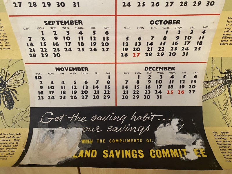 VINTAGE CALENDAR: Savings Calendar of Native Insects / NZ Savings Committee 1958 Carousel 6
