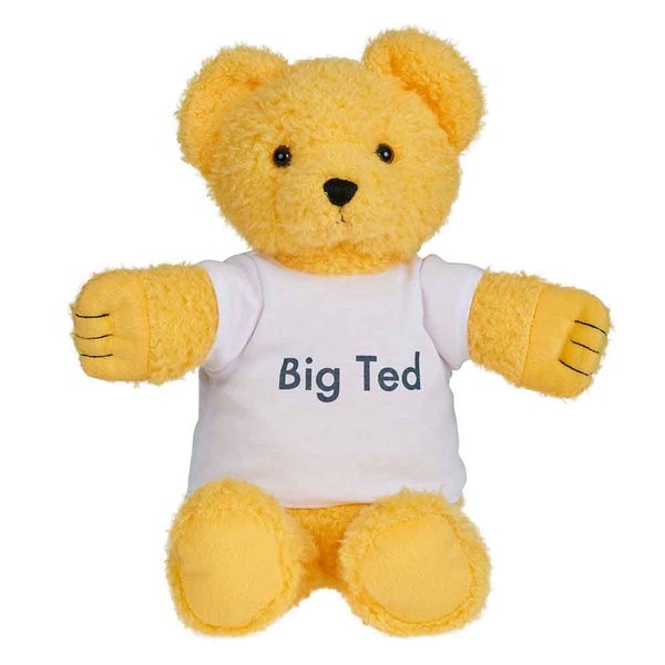 Play School - Big Ted Plush - Kids Soft Toy Teddy Bears Carousel 1