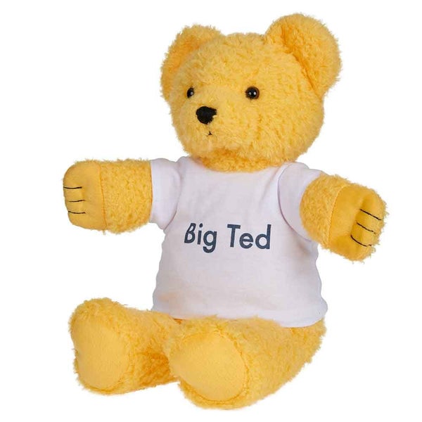Play School - Big Ted Plush - Kids Soft Toy Teddy Bears Carousel 2