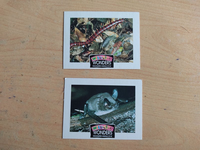 Sanitarium Wildlife Wonders Cards Carousel 1