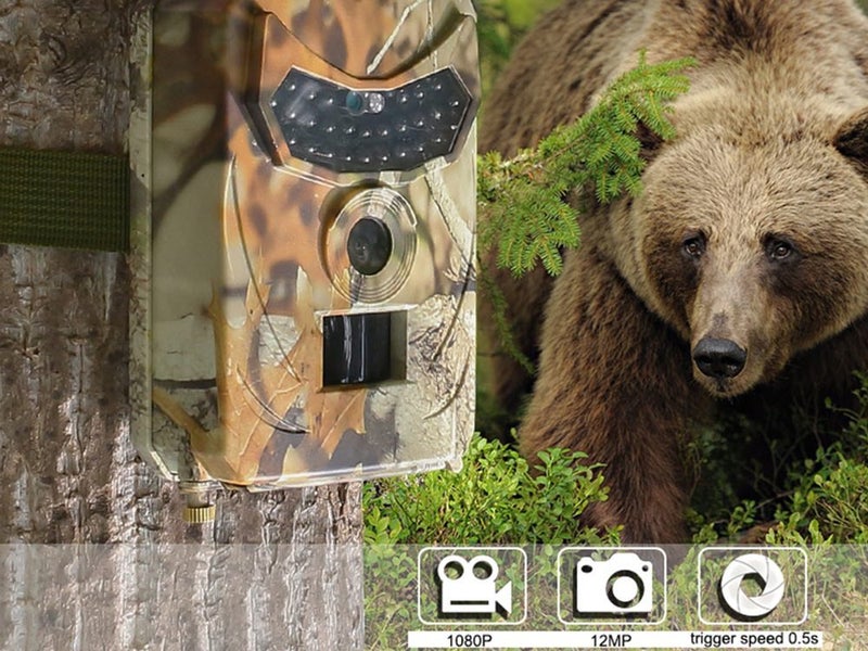 Hunting Camera Animal Trail Camera HD Waterproof Monitoring Infrared Sensing Carousel 8
