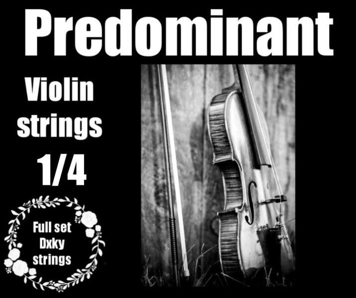 Predominant - DXKY Violin Strings - 1/4 Size Carousel 1