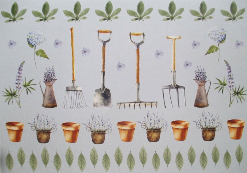 Greeting cards Occasional note cards "My Garden" with envelopes x 12 Carousel 2