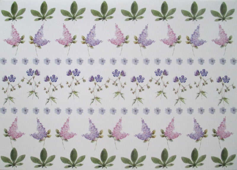 Greeting cards Occasional note cards "My Garden" with envelopes x 12 Carousel 5