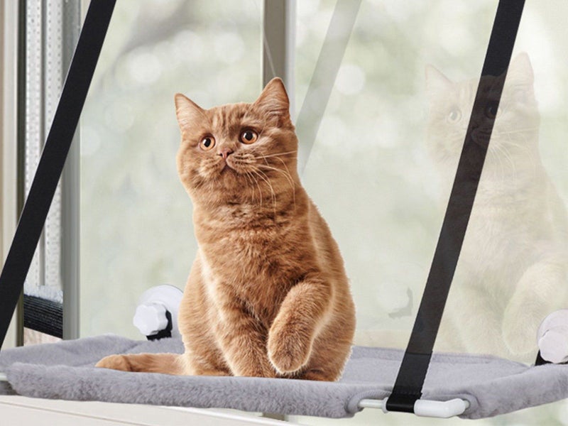 Single Layer Cat Hammock for Window Plush Cat Bed Warm Hanging Nest Grey Carousel 2