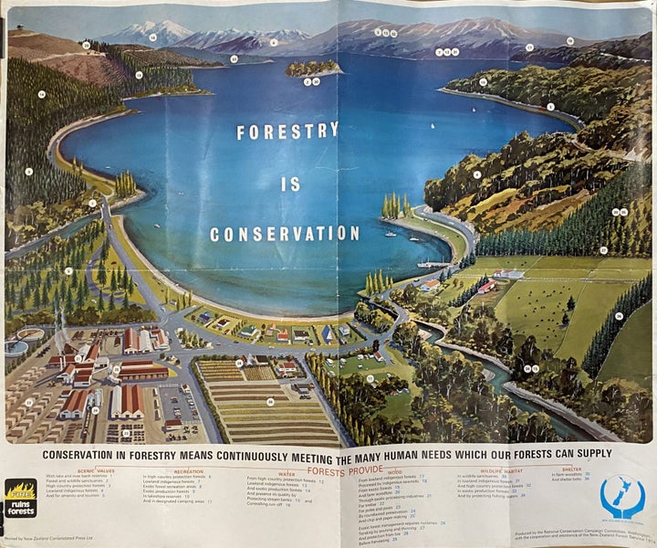 VINTAGE POSTER: NZ Forest Service - National Conservation Campaign 1974 Carousel 1