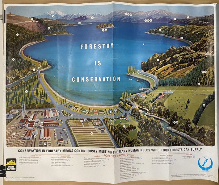 VINTAGE POSTER: NZ Forest Service - National Conservation Campaign 1974 Carousel 2