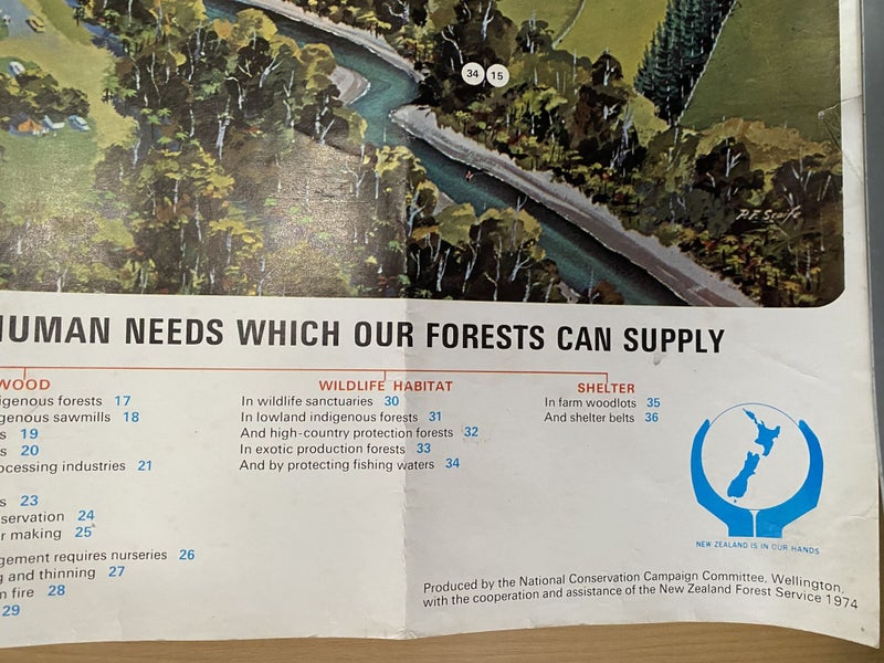 VINTAGE POSTER: NZ Forest Service - National Conservation Campaign 1974 Carousel 6
