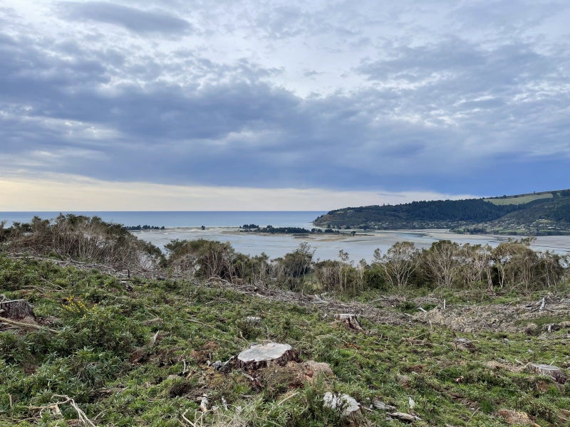 Dunedin Rural properties Trade Me Property