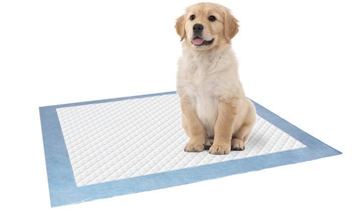 Puppy Training Pads 5 Pack 60 x 60 Carousel 1