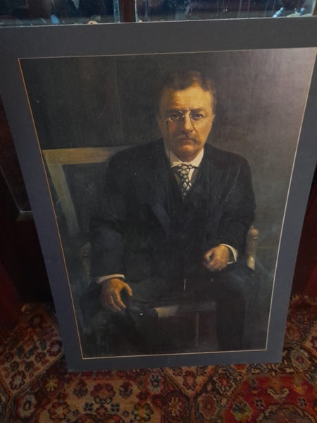 Theodore Roosevelt large print Carousel 1