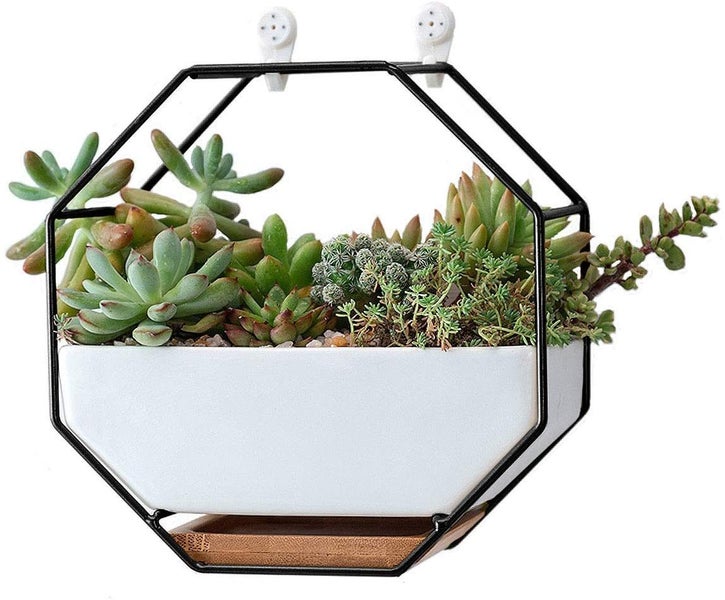 Hanging Geometric Wall Planter Freestanding Desk Succulent Planter (Black) Carousel 2