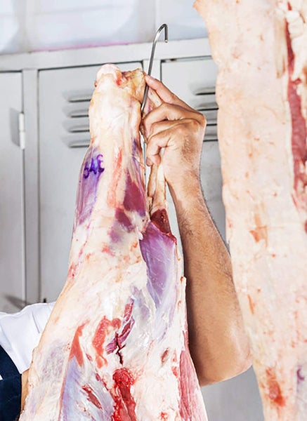 3 PCs Heavy Duty Stainless Steel Meat Hooks S-Hooks Butcher Hooks Carousel 5