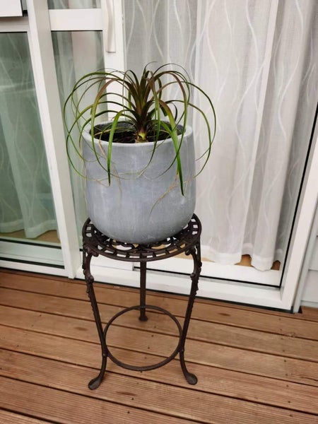 Cast Iron Pot Plant Stand Carousel 7