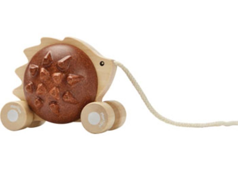 PlanToys - Pull-Along Hedgehog - Brown Carousel 1