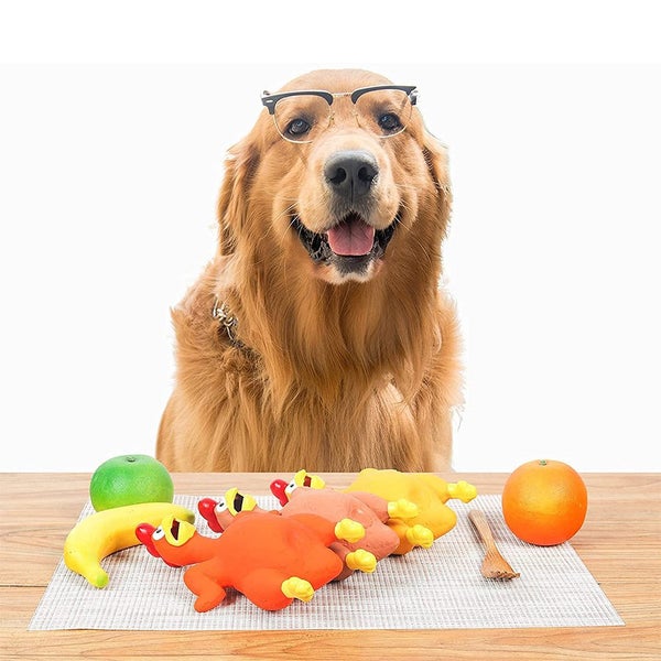 Pet Squeaky Toys Carousel 2
