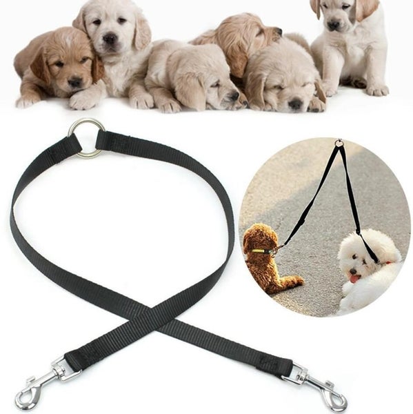Double Lead Leash for Dogs Carousel 1