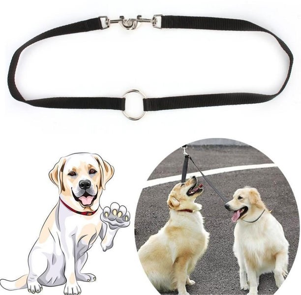 Double Lead Leash for Dogs Carousel 2
