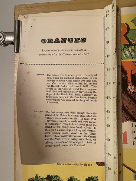 VINTAGE POSTER: Oranges - How they are Grown and Sold 1950s Carousel 5