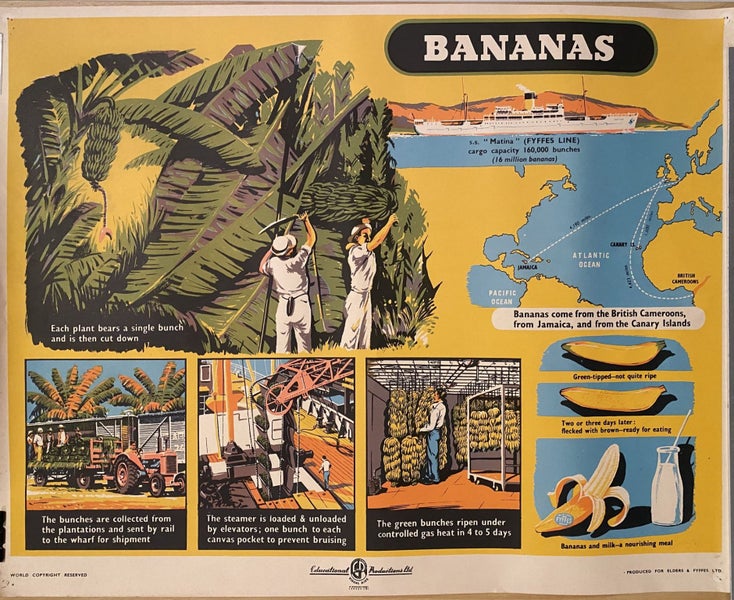 VINTAGE POSTER: Bananas - How they are Grown and Sold 1950s Carousel 1
