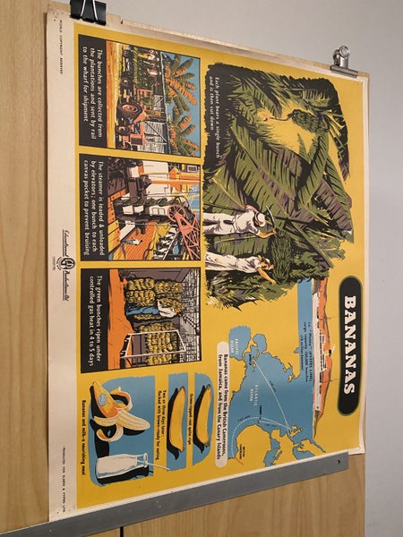 VINTAGE POSTER: Bananas - How they are Grown and Sold 1950s Carousel 2