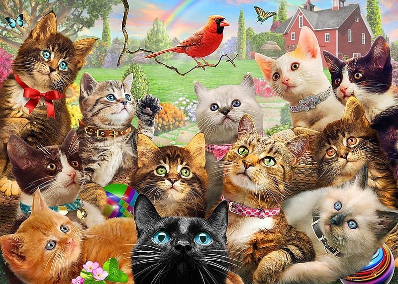 LARGE FULL DIAMOND PAINTING - CATS AND BIRD 40 X 60 CM ( TOP QUALITY KIT) Carousel 1