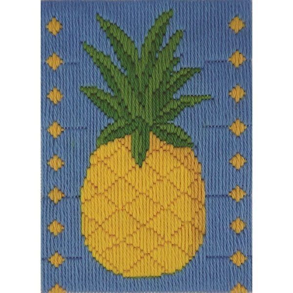 Beutron Long Stitch Kit Kids Beginner Pineapple Carousel 1